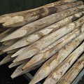 Kastanjehouten Palen Gepunt/Geschild 250 cm
