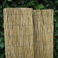 Tonkinmat 100X500