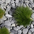 Beach Pebbles zwart 30-60 mm (20 kg)