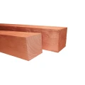 Douglas geschaafde paal 12x12x250 cm onbehandeld