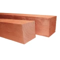 Douglas geschaafde paal. 19x19x500 cm onbehandeld