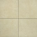 Monte Beige 60x60x2 cm