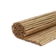 Bamboescherm Dalian