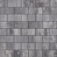 Para Lo 15x30x8cm  Pinto