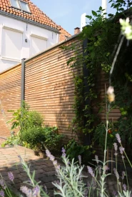 Douglas geschaafd blokhutprofiel 2.8x19.5x224 cm, onbehandeld