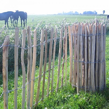 Hazelaar hekwerk  120x500 cm, latafstand 3-5 cm