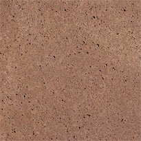 SV Oudhollandse opsluitband 5x20x100 cm roodbruin