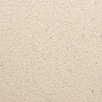 SV Oudhollandse opsluitband 5x20x100 cm creme