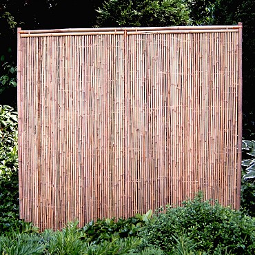 Bamboescherm Recht 90X180