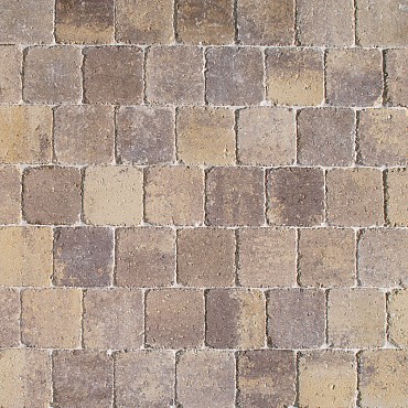 Tabor New Orleans wildverband