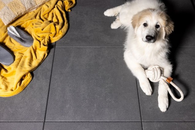 Washington Manson 60x60x4cm