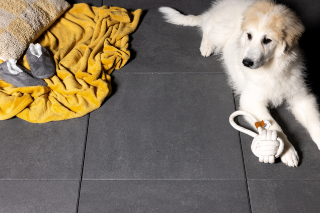 Washington Manson 60x60x4cm