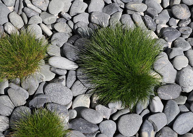 Beach Pebbles zwart 30-60 mm (20 kg)