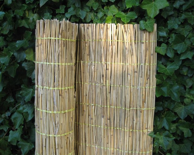 Rietmat Tisza 50X200