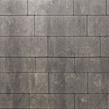 Bahia banenverb - 8 cm Pinto