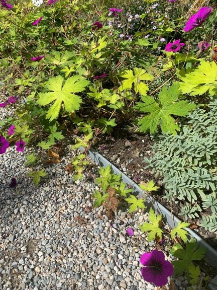 Ecoboard Flex Grey 25000x140x7 mm (rol 25 m.)